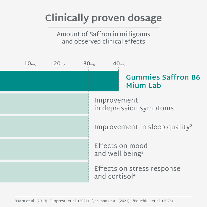 SUGAR-FREE SAFFRON B6 GUMMIES | Emotional balance | 21 days