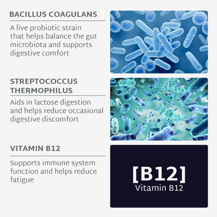 SUGAR-FREE PROBIOTICS GUMMIES | Digestive comfort | 21 days
