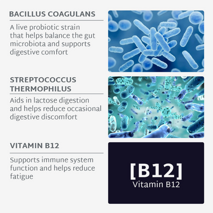 SUGAR-FREE PROBIOTICS GUMMIES | Digestive comfort | 21 days